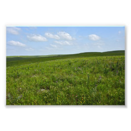 Flint Hills Wildblumen, Kansas Fotodruck