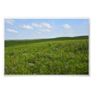 Flint Hills Wildblumen, Kansas Fotodruck