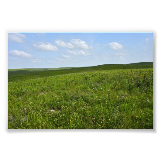 Flint Hills Wildblumen, Kansas Fotodruck (Vorne)