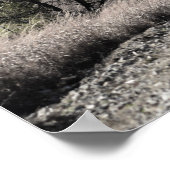 Flint Hills Winterszene Poster (Ecke)