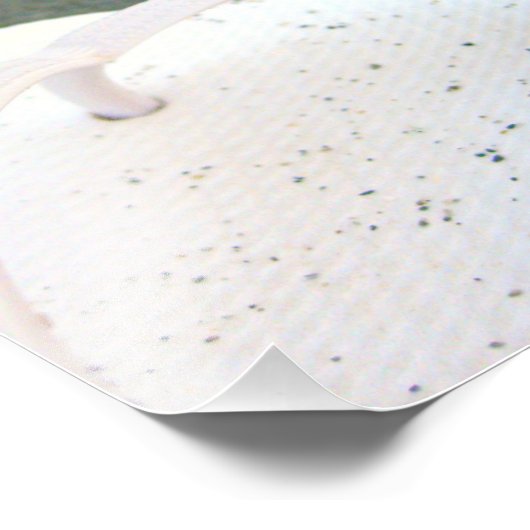 Flip Flops Beach Quote Foto (Ecke)