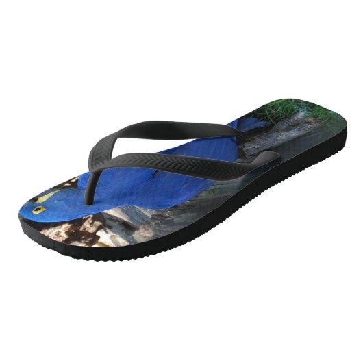 Flip Flops _ Papageien _ Kuss Badesandalen (Schrägansicht)