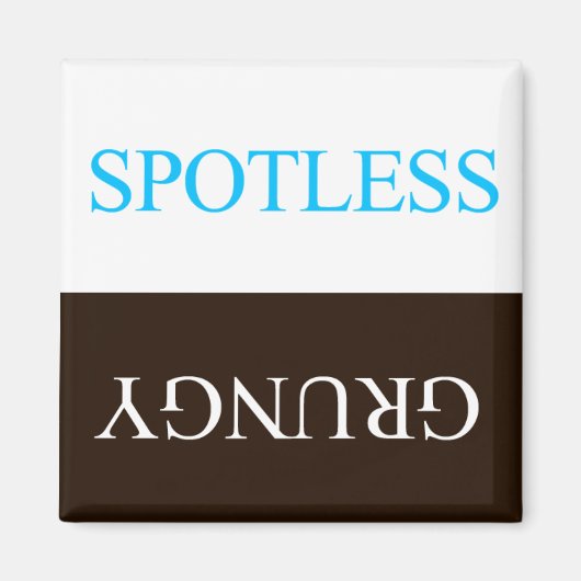 "FLIPPERS" SPOTLESS GRUNGY DISHWASHER MAGNET (Vorne)