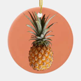 Flippige leckere Ananas-Kreis-Verzierung Keramik Ornament