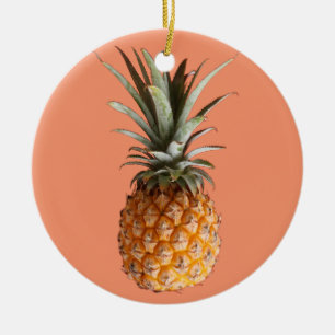 Flippige leckere Ananas-Kreis-Verzierung Keramik Ornament