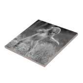 Flippiger kleiner Affe Fliese (Seite)