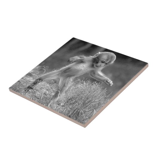 Flippiger kleiner Affe Fliese (Seite)