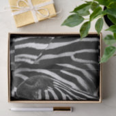 Flippiger Schwarzweiss-Zebra Seidenpapier (Geschenk)