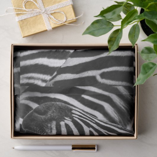 Flippiger Schwarzweiss-Zebra Seidenpapier (Geschenk)