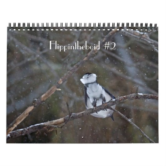 Flippintheboid #2 kalender (Titelbild)