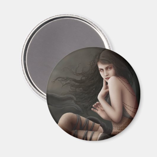 Flirten mit Sonnenuntergang Magnet (Vorderseite/Rückseite)