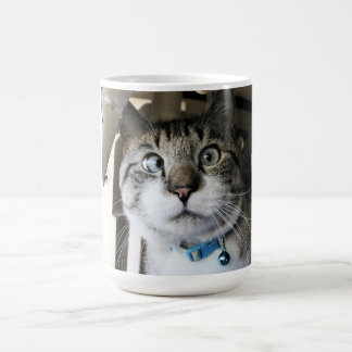 Flitter für Kaffee! Kaffeetasse