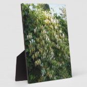 Flittersaugung an einer Wand Fotoplatte (Seite)