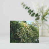 Flittersaugung an einer Wand Postkarte (Stehend Vorderseite)