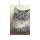 Flo Kitty-Kat Autolufterfrischer (Vorderseite)