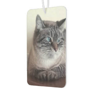 Flo Kitty-Kat Autolufterfrischer