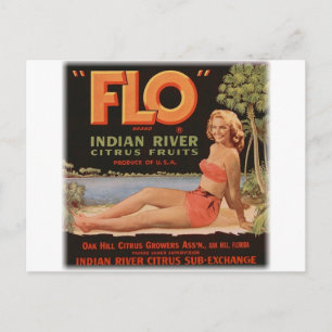 Flo Orangen Vintage Postkarte