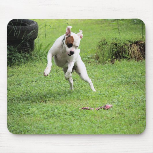 Float Mousepad (Vorne)