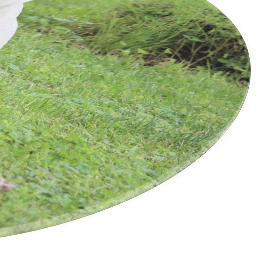 Float Schneidebrett (Ecke)