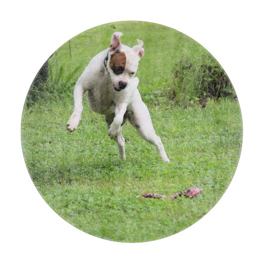 Float Schneidebrett (Vorderseite)