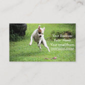 Float Visitenkarte (Vorderseite)