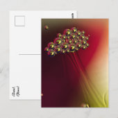 Floating Abstrakte Blasen farbenfroher Hintergrund Postkarte (Vorne/Hinten)