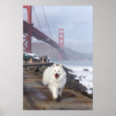 Floating by Golden Gate Bridge Poster (Vorne)