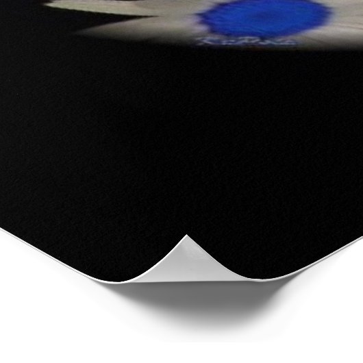 Floating Daisies Poster (Ecke)