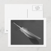 Floating Feather Postcard Postkarte (Vorne/Hinten)