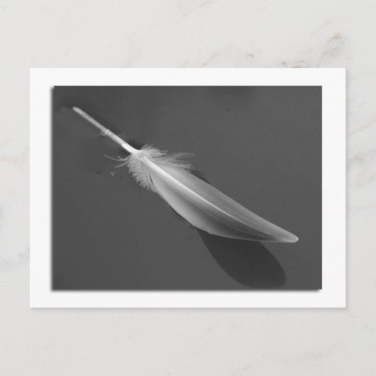 Floating Feather Postcard Postkarte (Vorderseite)