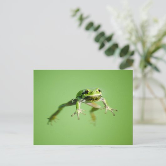Floating frog in transparent and calm water . postkarte (Stehend Vorderseite)