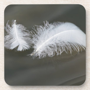 Floating Gänsefeathers Getränkeuntersetzer