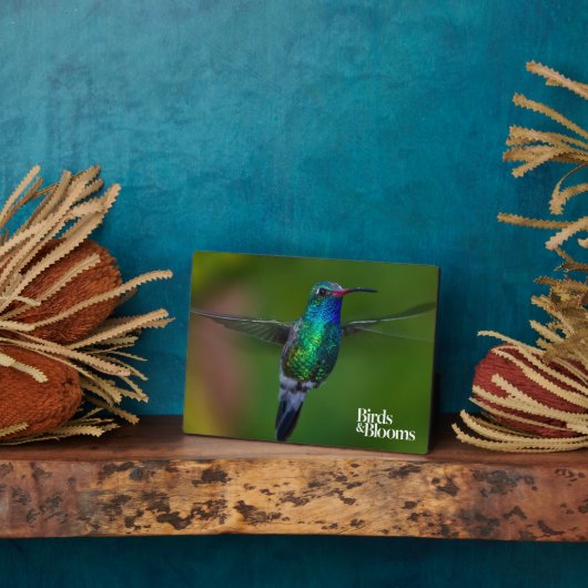 Floating Hummingbird Fotoplatte (Seite)