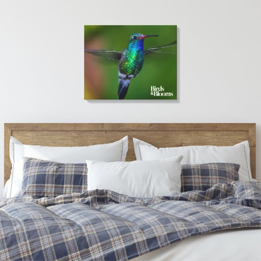Floating Hummingbird Leinwanddruck (Insitu (Schlafzimmer))