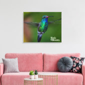 Floating Hummingbird Leinwanddruck (Insitu (Wohnzimmer))