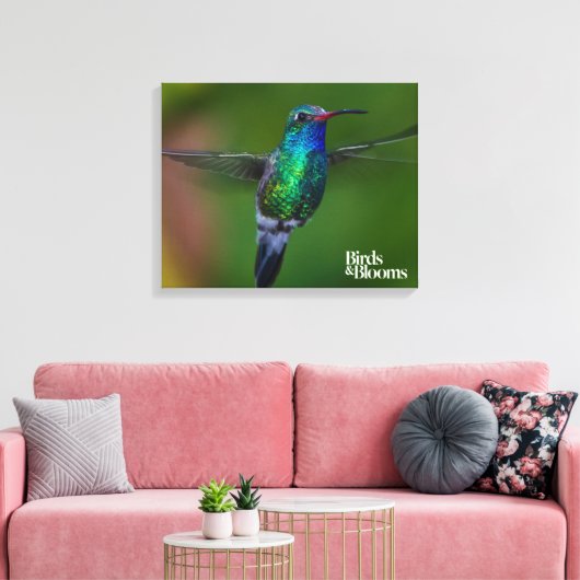 Floating Hummingbird Leinwanddruck (Insitu (Wohnzimmer))