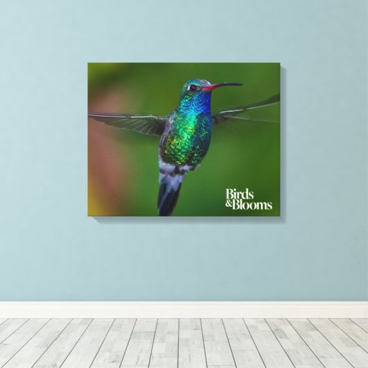 Floating Hummingbird Leinwanddruck (Insitu (Holzboden))