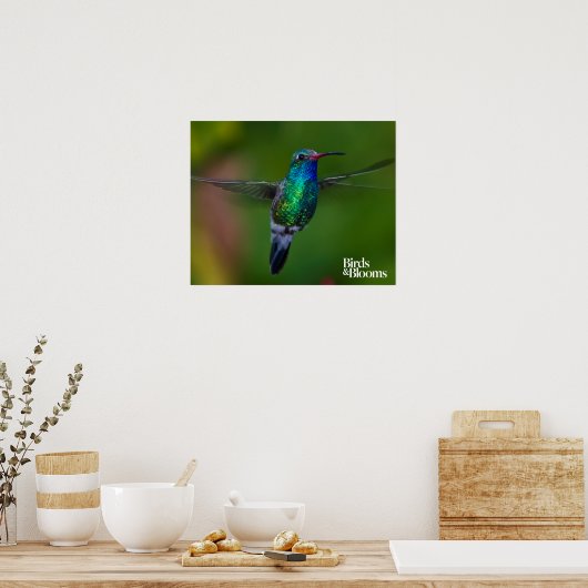 Floating Hummingbird Poster (Küche)