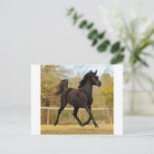 Floating in der Luft Postkarte (Stehend Vorderseite)