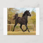 Floating in der Luft Postkarte (Vorderseite)