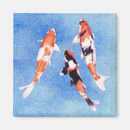 Floating Koi Blue Magnet (Vorne)