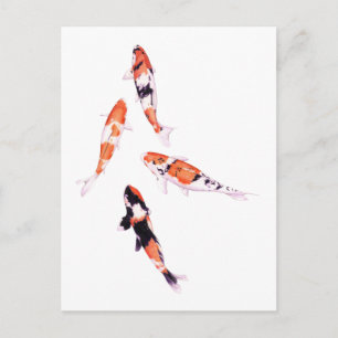 Floating Koi Postcard Postkarte