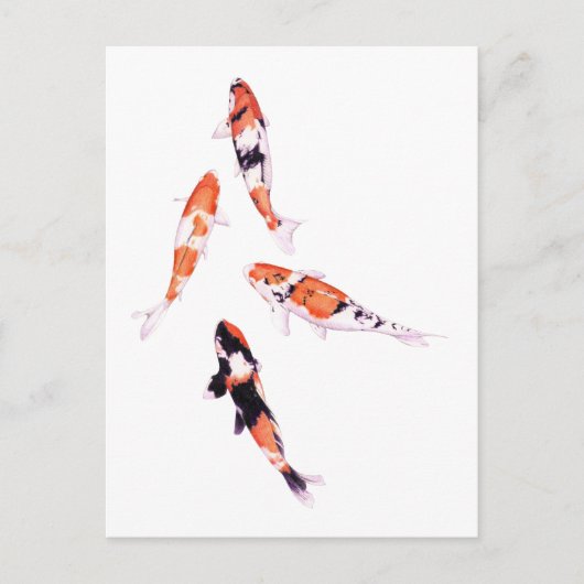 Floating Koi Postcard Postkarte (Vorderseite)