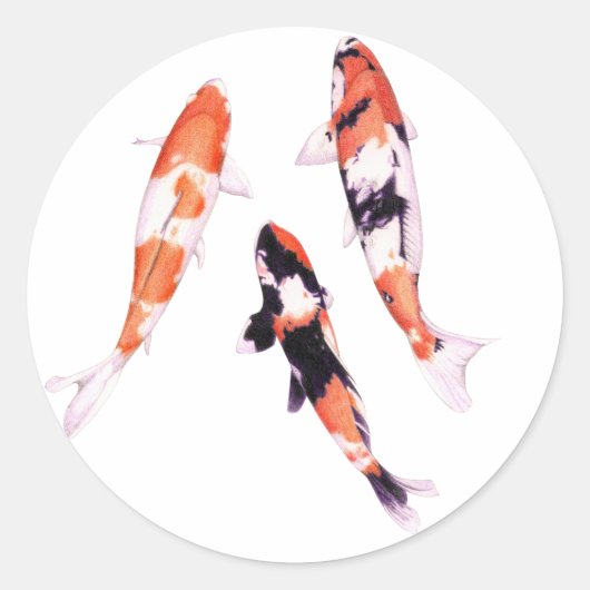 Floating Koi Sticker (Vorderseite)