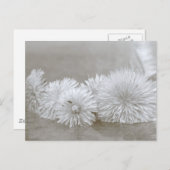 Floating Landelions Black and White Postcard Postkarte (Vorne/Hinten)