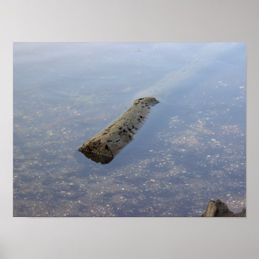 Floating Log Foto Poster (Vorne)