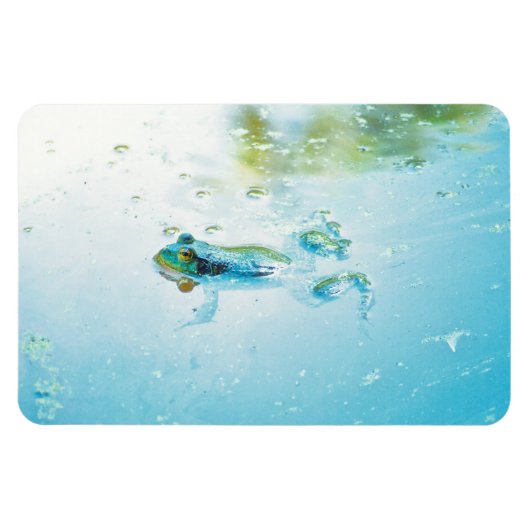 Floating Magnet (Horizontal)