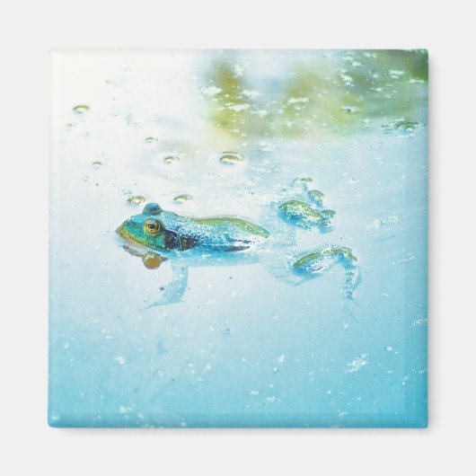 Floating Magnet (Vorne)