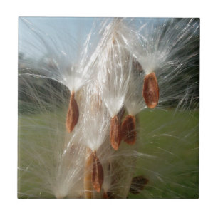 Floating Milkweed Seeds Art Print/Graphic Fliese