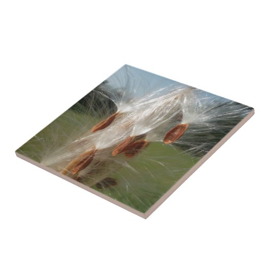 Floating Milkweed Seeds Art Print/Graphic Fliese (Seite)
